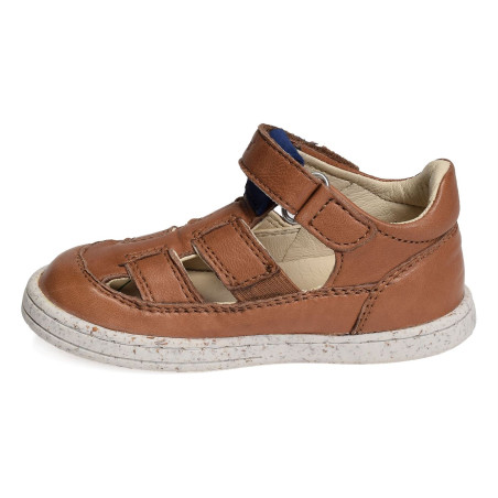 TRACTUS Camel, Babies Kickers