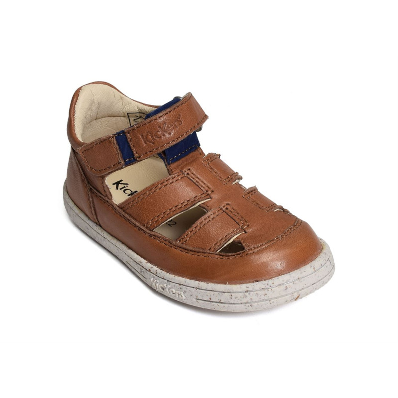 TRACTUS Camel, Babies Kickers