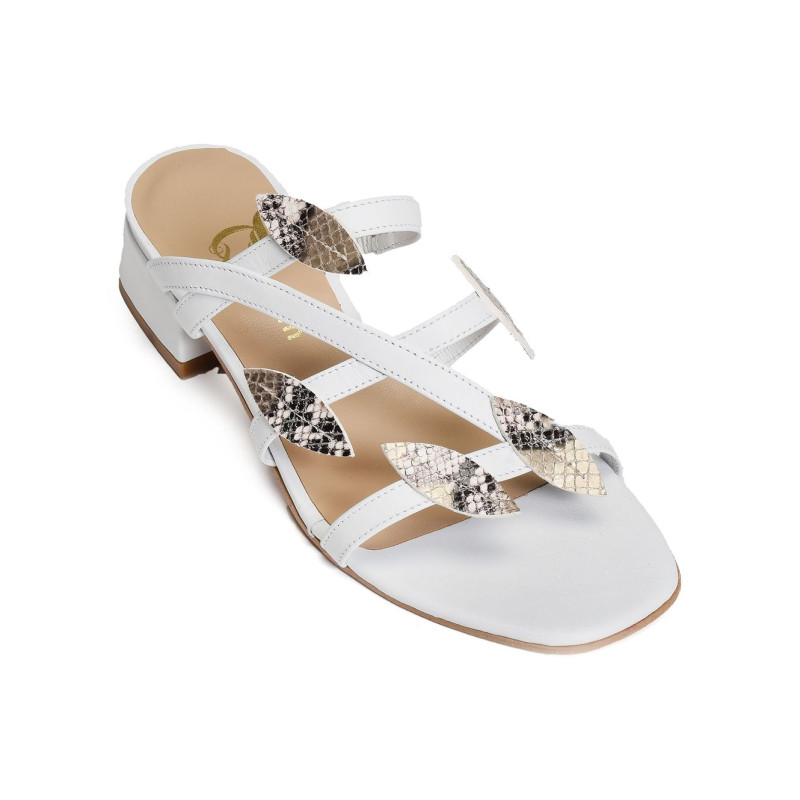 13730 Blanc, Mules Qootum