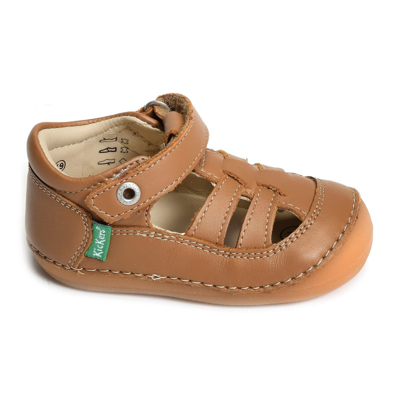 SUSHY BOY Camel, Babies Kickers