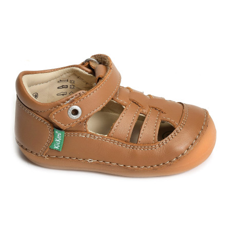 SUSHY BOY Camel, Babies Kickers