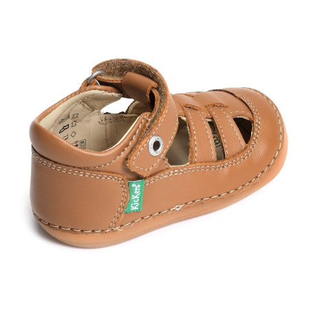 SUSHY BOY Camel, Babies Kickers