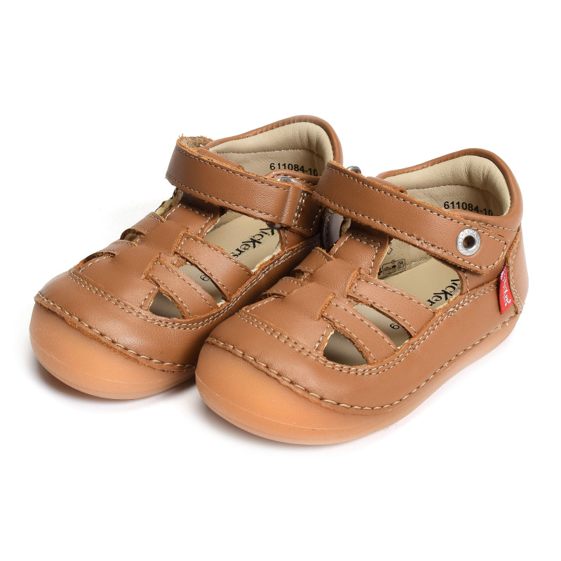 SUSHY BOY Camel, Babies Kickers