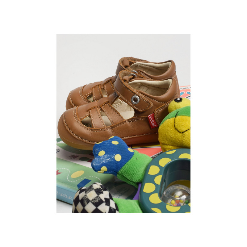 SUSHY BOY Camel, Babies Kickers