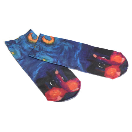 LES DEUX FRERES Multicolore, Chaussettes Clovis & Clothilde