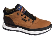 TIMBERLAND FIELD TREKKER LOW