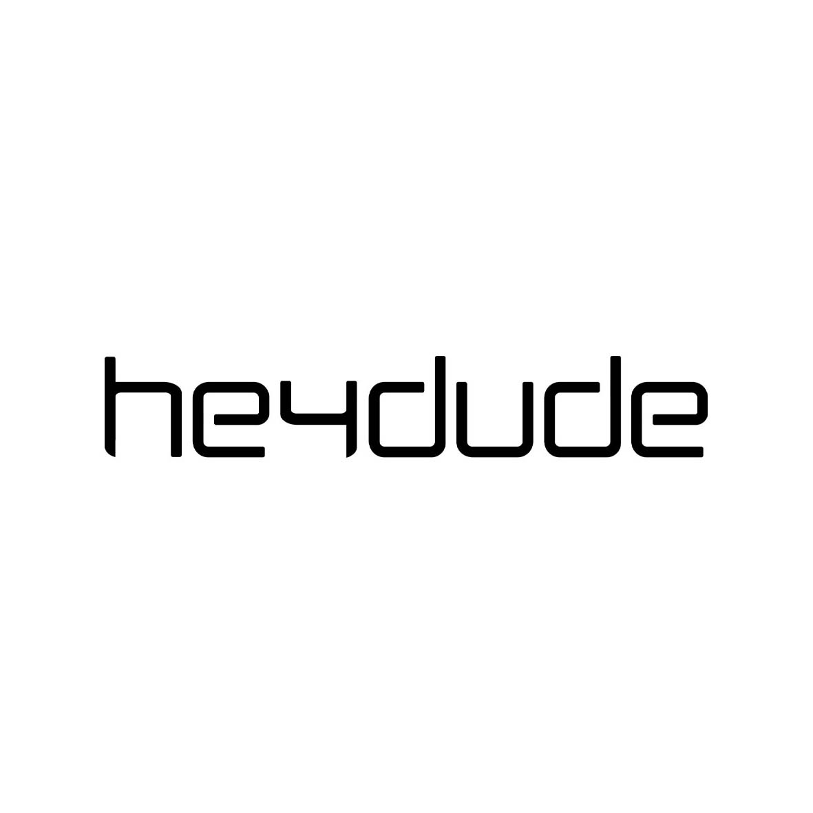 Hey 2025 dude logo