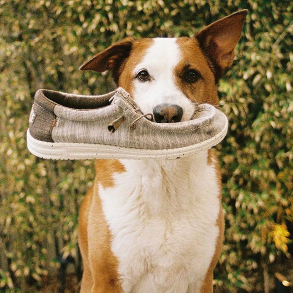 Chaussures Hey Dude, le confort et la cool attitude !